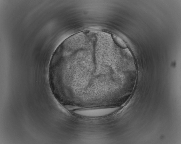 X0000094331194200711241822