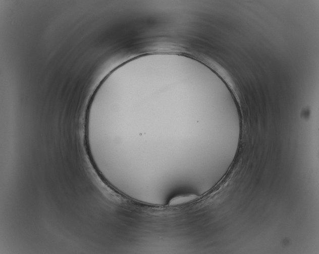 X0000094331195200711241822