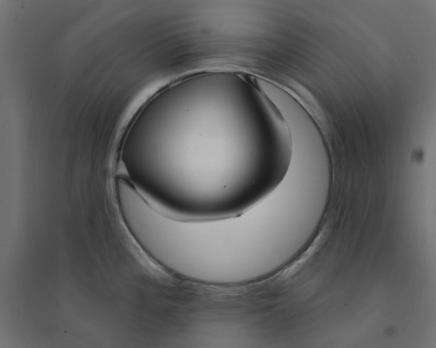 X0000094331196200711241822