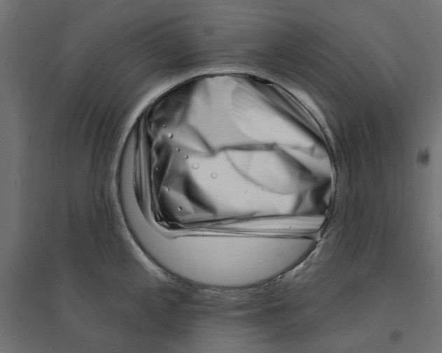 X0000094331197200711241822