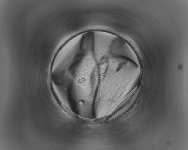 X0000094331199200711241822