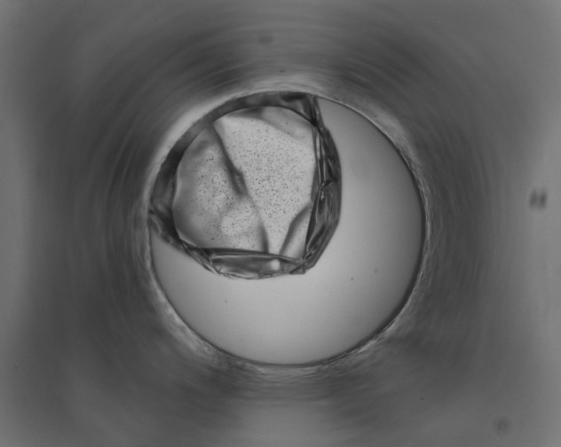 X0000094331200200711241822