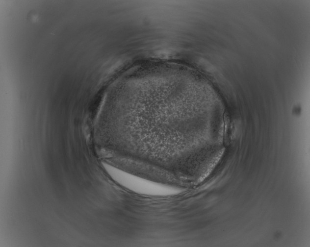 X0000094331202200711241821