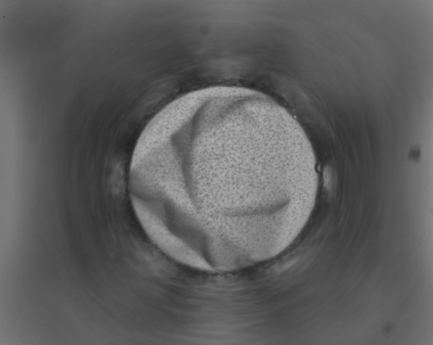 X0000094331203200711241821