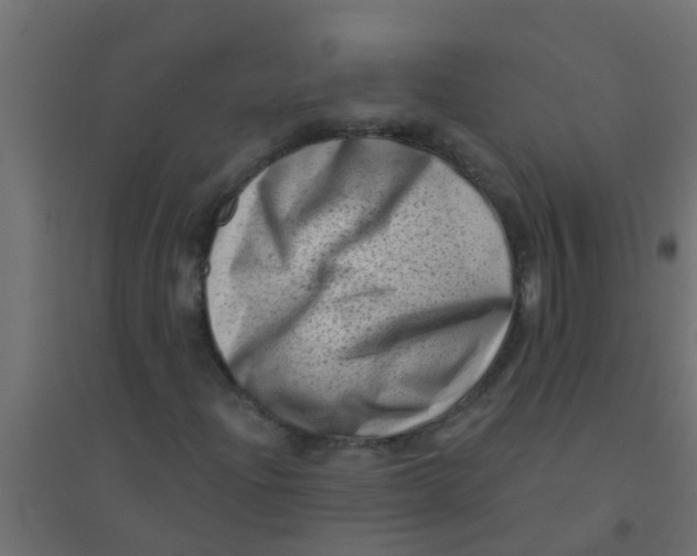 X0000094331204200711241821