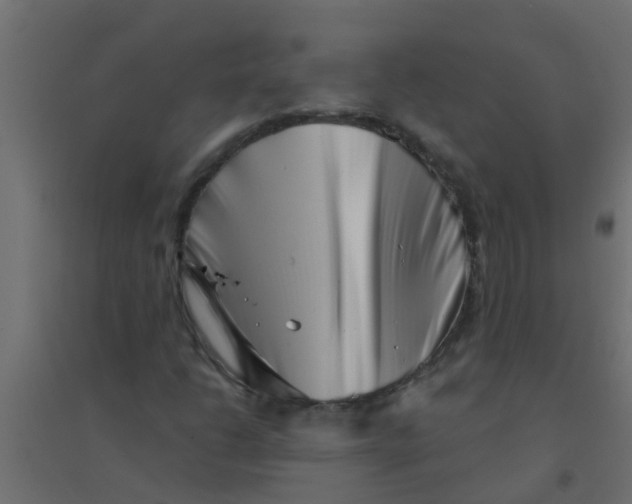 X0000094331206200711241821