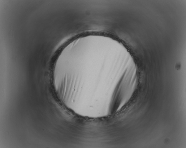 X0000094331208200711241821