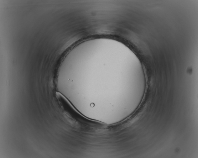 X0000094331209200711241821