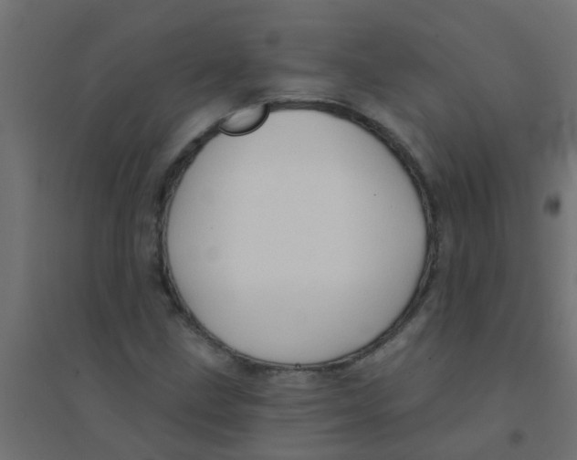 X0000094331211200711241822