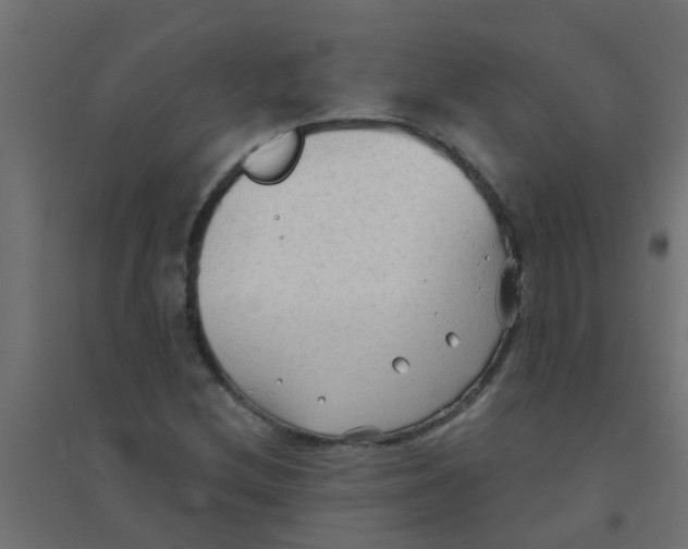 X0000094331212200711241822