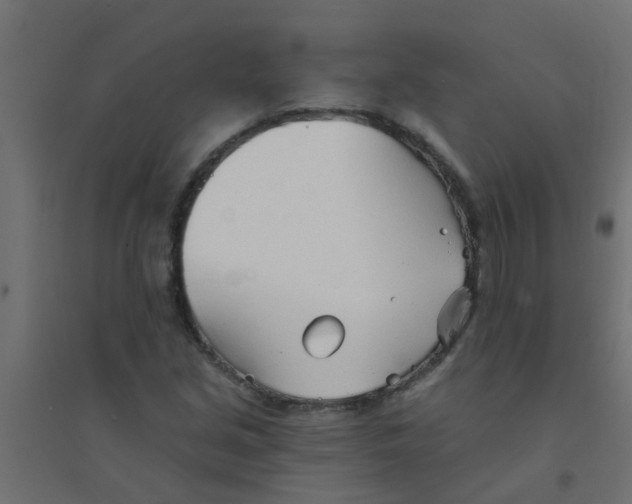 X0000094331213200711241822