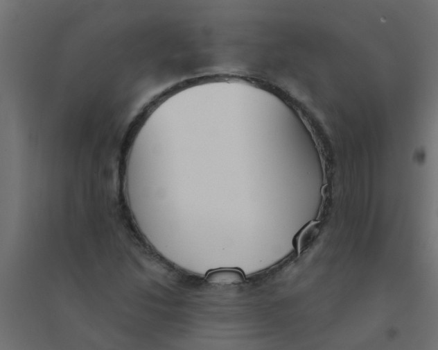 X0000094331214200711241822