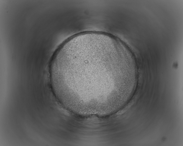 X0000094331215200711241822