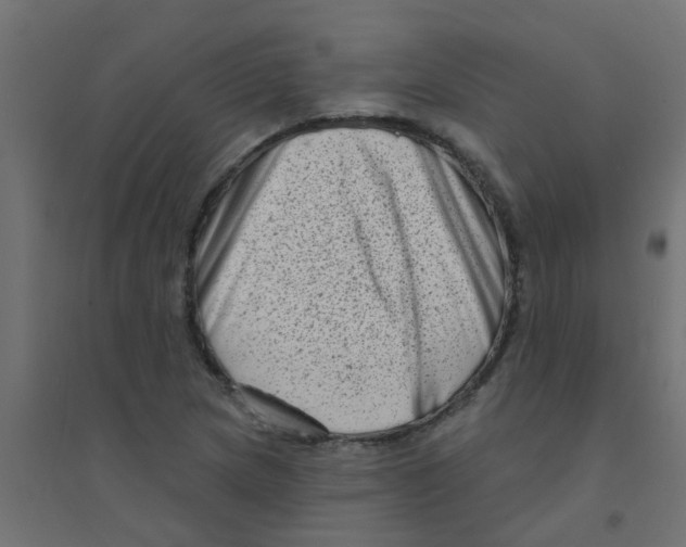 X0000094331217200711241822