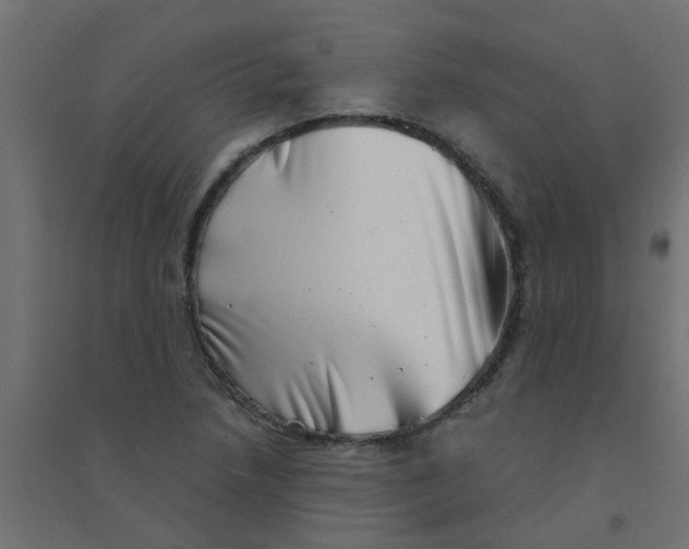 X0000094331218200711241822