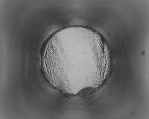 X0000094331219200711241822
