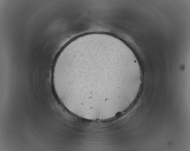 X0000094331220200711241822