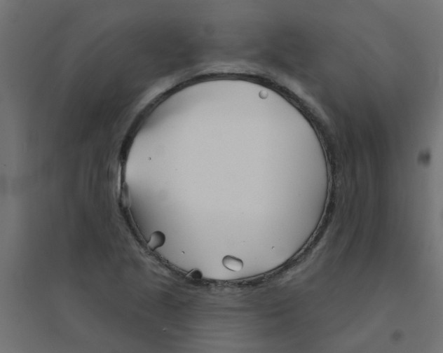 X0000094331221200711241822