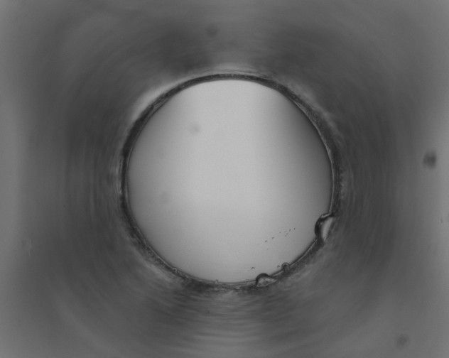 X0000094331222200711241822