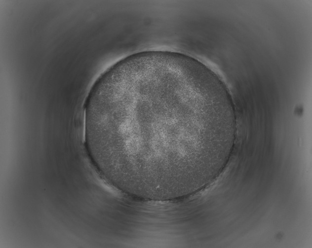 X0000094331223200711241822
