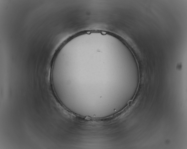 X0000094331224200711241822