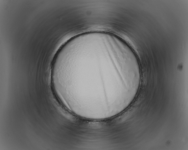 X0000094331227200711241822