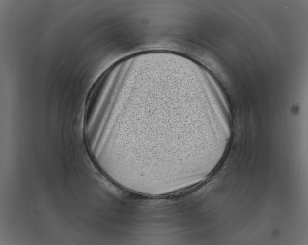 X0000094331228200711241822