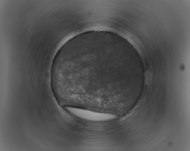 X0000094331229200711241822