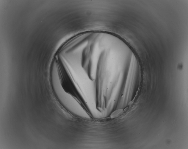 X0000094331230200711241822
