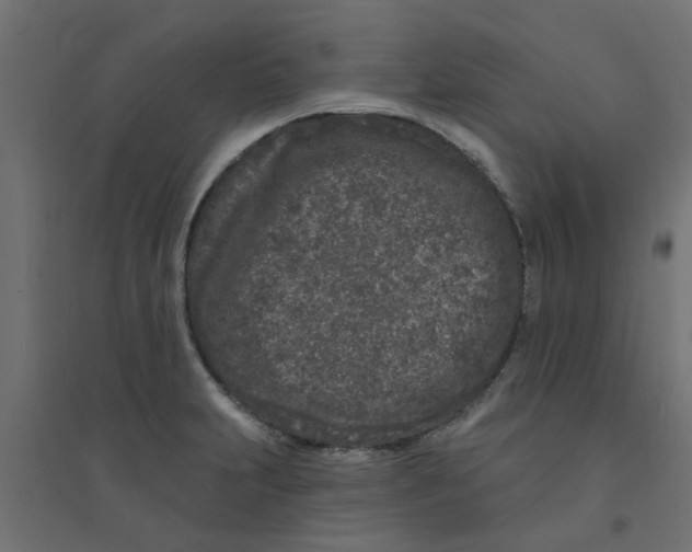 X0000094331231200711241822
