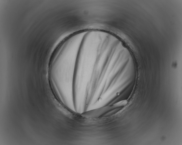 X0000094331232200711241822