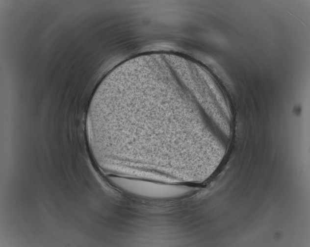 X0000094331233200711241822