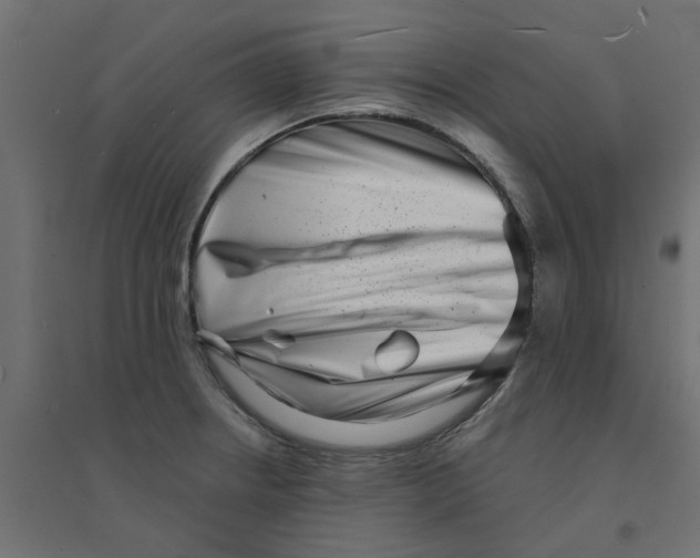 X0000094331234200711241822