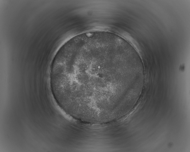 X0000094331235200711241822