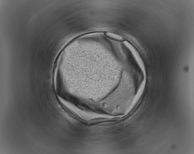 X0000094331236200711241822