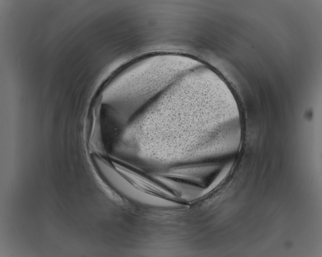 X0000094331237200711241822