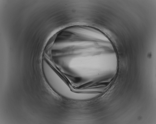 X0000094331238200711241822