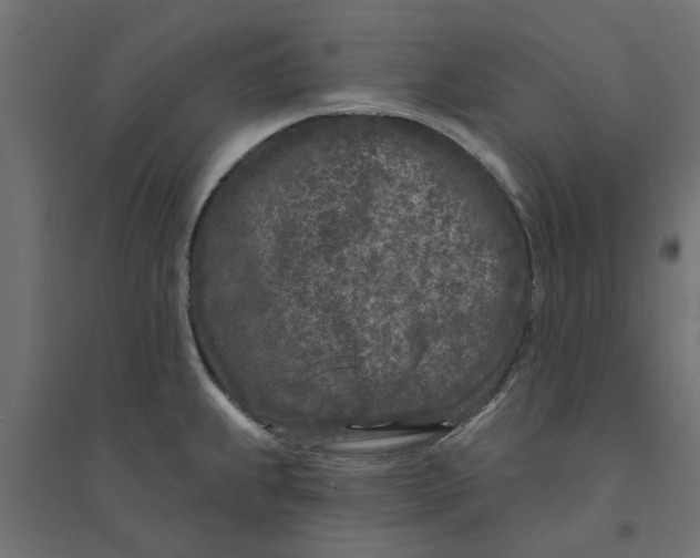 X0000094331239200711241822