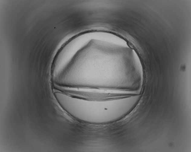 X0000094331240200711241822