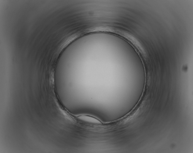 X0000094331241200711241822