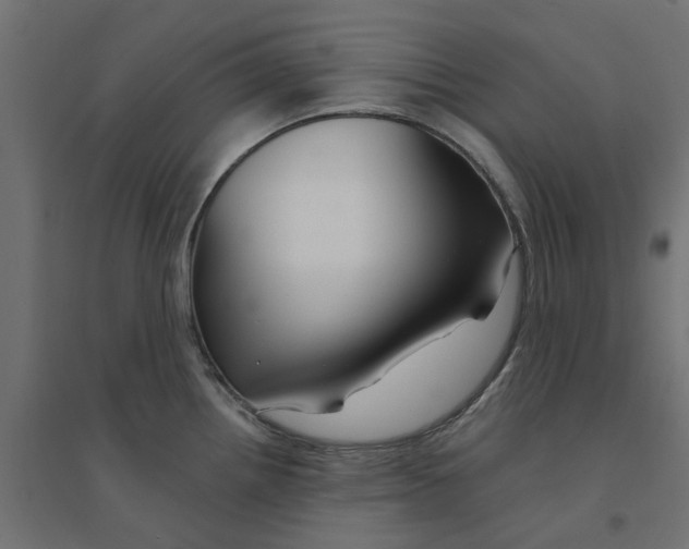 X0000094331242200711241822