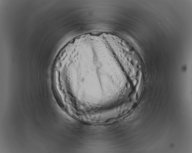X0000094331243200711241822