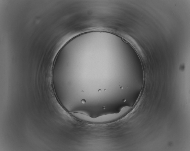 X0000094331244200711241822