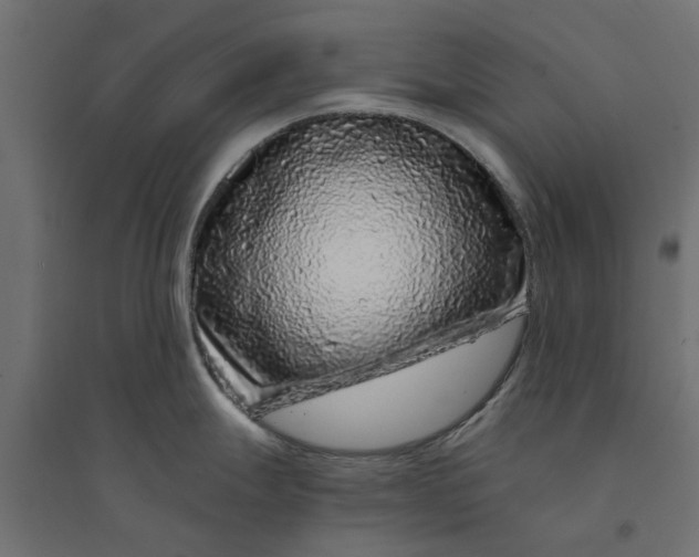 X0000094331247200711241822