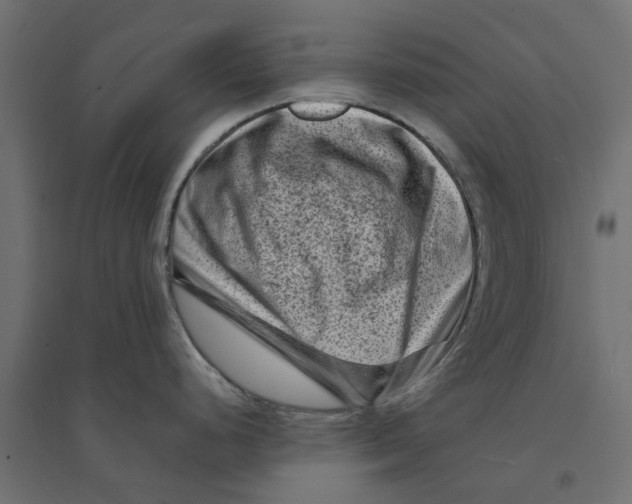 X0000094331248200711241822