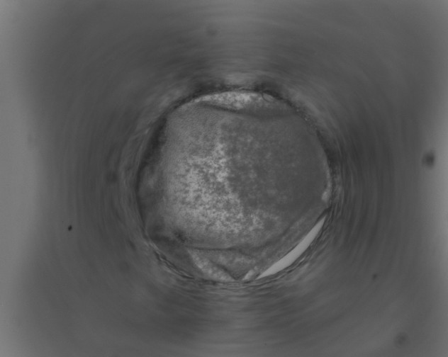 X0000094331249200711241821