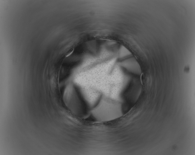 X0000094331250200711241821