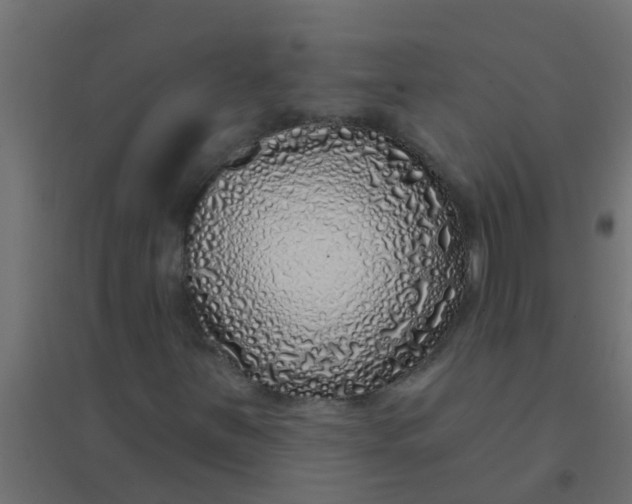 X0000094331251200711241821