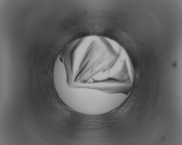X0000094331252200711241821