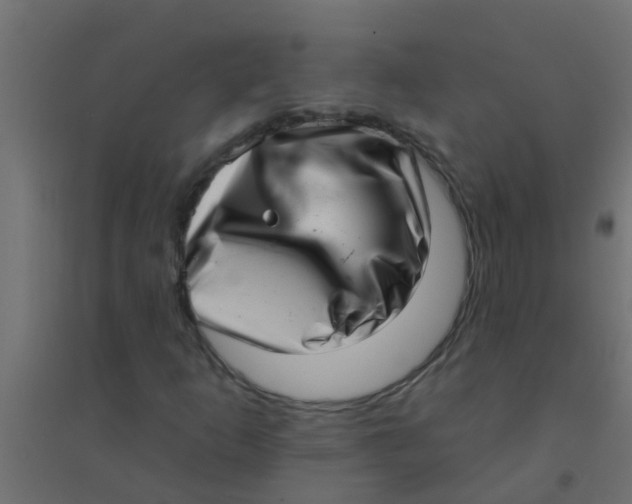 X0000094331253200711241821